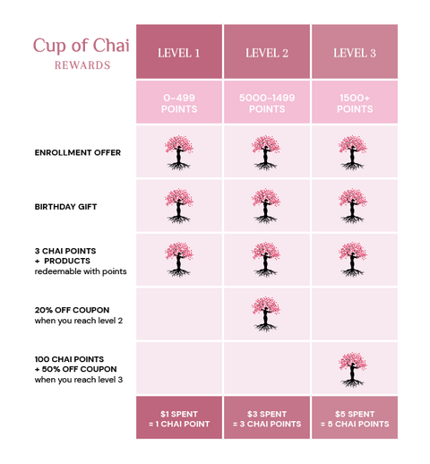 What are the different levels of the program and what do they mean?